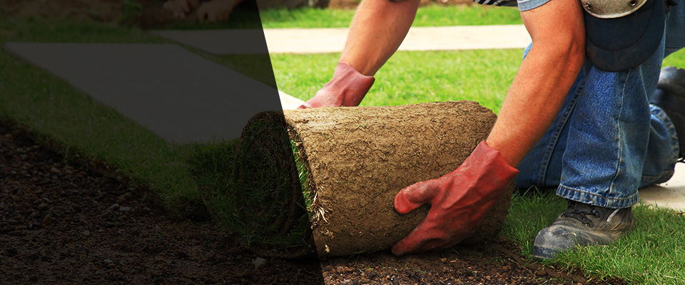 Lyons Landscapers